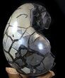 Septarian Dragon Egg Geode - Black Crystals #37118-2
